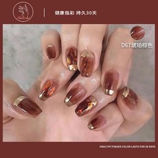 와인레드 색상 유행 네일아트 인싸템 광요법 클래식 홍이모, 1, D67 호박색 씰브라운