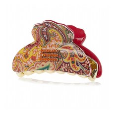 에트로헤어클립