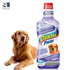 애완동물용품 Dog 프라그와치석 503ml 물에 섞는 치약, 1개, 상세페이지 참조