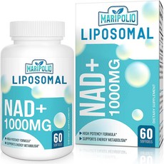 Pure 리포솜 NAD+ 보충제 1000mg | 폰테시 흡수| 에너지 및 DNA 방어 뇌 기능 60일 분량