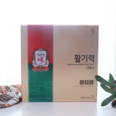[국내정품]정관장 활기력 세트 20ml x 16개입[매장], 정관장 활기력, 1개, 320ml
