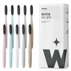 Wangta 牙刷 黑色, 10入, 1組