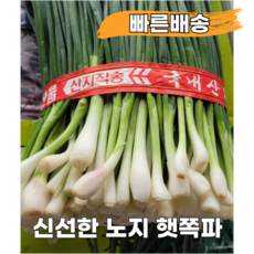 [품질보장 국내산 노지 햇쪽파] 깐쪽파 당일수확 손질쪽파, 2개, 1kg