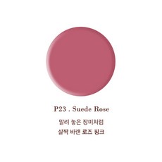 베리굿네일 블러링 6종단품 컬러젤 베리굿젤, 1개, 10g, P23
