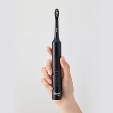시그널 소닉 익스퍼트 전동칫솔 블랙, 1개