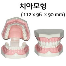 출산딱딱이