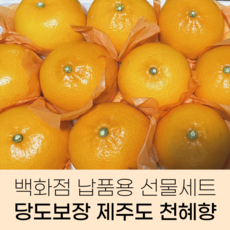 [전국 당도 1등] 제주 산지직송 황금향 천혜향 선물세트, 로얄과 3kg