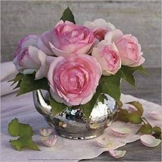 b8c82f89ccf6abbc6b0c9520a802c5349cb1c69295bd27abe78e1feaff0b.jpg