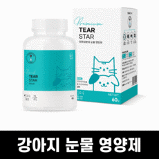 비숑눈물자국