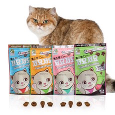 캐츠랑 저요저요 고양이 보양간식, 연어맛, 60g, 1개