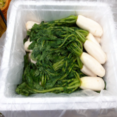 대장부농수산 절인 알타리 절임무 절임 알타리무 총각무 김장, 1개, 2kg