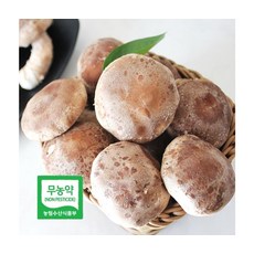 영양만점 산해리농장 무농약 착한송이버섯 450g 상품, ONE COLOR, ONE SIZE