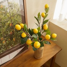 플라우스302 레몬트리 열매 가지 조화, 혼합색상