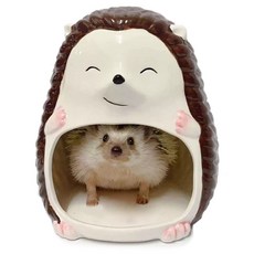 세라믹 고슴도치 은신처, 1개