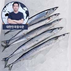 삶을디자인하는꽁치