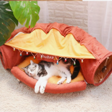 재즈하우스게스트하우스