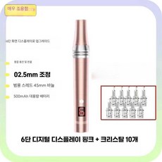 파웰 mts기계 가정용 모공 오토 펜 셀프 관리, 상세페이지 참고, 분홍색 6단계+10개 바늘