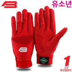bbk배팅장갑올레드
