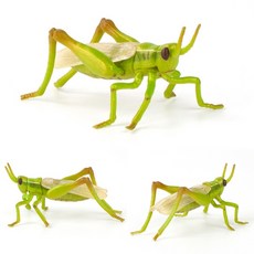 메뚜기장난감