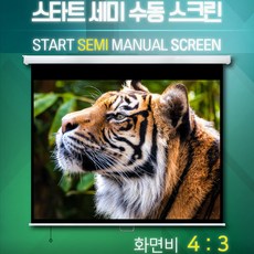 수동스크린