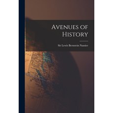 (영문도서) Avenues of History Paperback, Hassell Street Press, English, 9781013648489