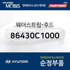 lf소나타웨더스트립