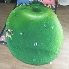 폼폼푸린무릎담요