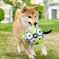 강아지 공 끈 축구공 터그볼 댕댕볼 터그 놀이 줄달린공, 강아지축구공