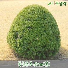 f9e587650d18e9000827c73374c820e6bc31187fb2a504a8312efb981a4f.jpg