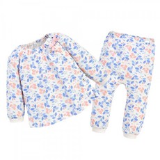 모이몰른데이정장