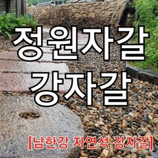 남한강레포츠