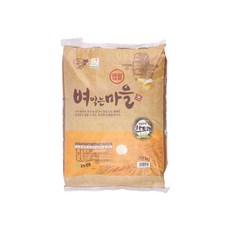 벼익는마을 한토래 공주 농협쌀 20kg, 1개, 단품