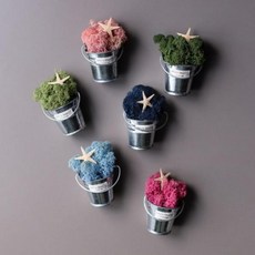 습도조절냉장고