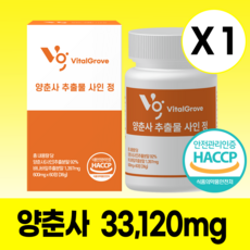  양춘사 추출물 바나바잎 사인 정 양춘사 추출물500mg 양 춘 사 추출물 100 % HACCP 해썹 인증 1개 60정  상품 이미지