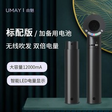 테팔듀얼에어샷스티머