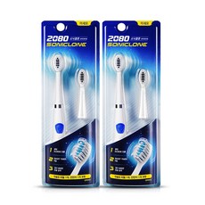 2080소닉클론
