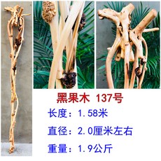 ad4e59410acb09cd667bad442e2afce23e96a8986585059f89544a46cd0f.jpg