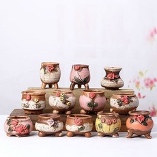 이상해씨다육이