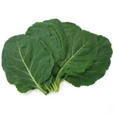 쌈케일1kg