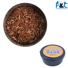 빙어 구더기 덕이 미끼 생미끼