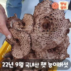 싸리버섯가격