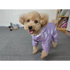 이지웨어패딩강아지