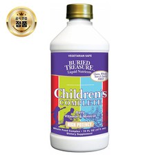 Buried Treasure Childrens Complete Liquid Daily Multi Vitamin Mineral 어린이 멀티 비타민16oz, 1개, 1개입