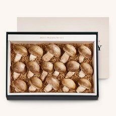 송화버섯 실속세트 1kg(무농약 생버섯 30개 내외)