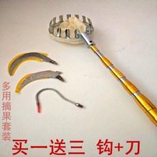 감나무장대