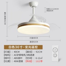 루씨에어실링팬화이트헤이븐