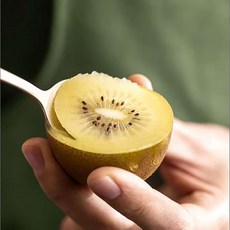 청정 제주 고당도 제스프리 골드키위 점보 산지직송, 1개, 제스프리 골드키위 특대2.2kg(16개입)