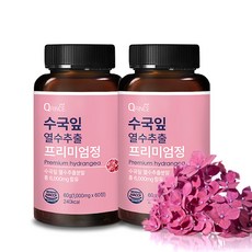 큐린스 수국잎 열수추출물 프리미엄정 1000mg x 60정, 2통