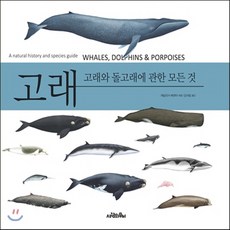 고래와돌고래에관한모든것
