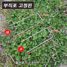 고정멀칭핀